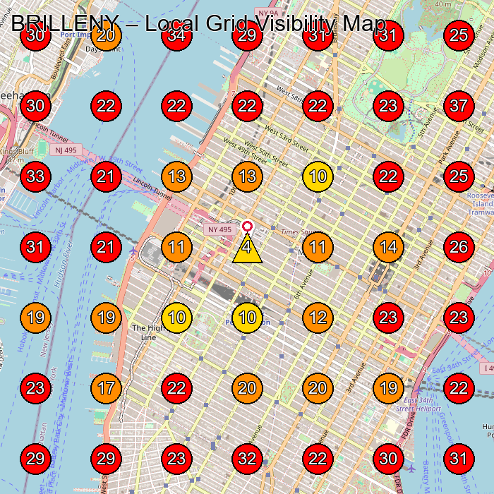 BRILLENY GeoGrid visibility map for Hair Salon in New York